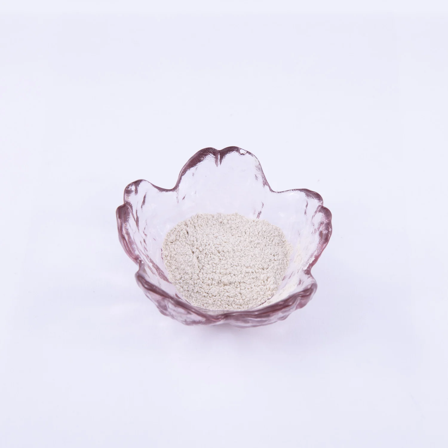 China Wholesale Price Food Grade Additives Natural Preservative Nisin E234 Powder