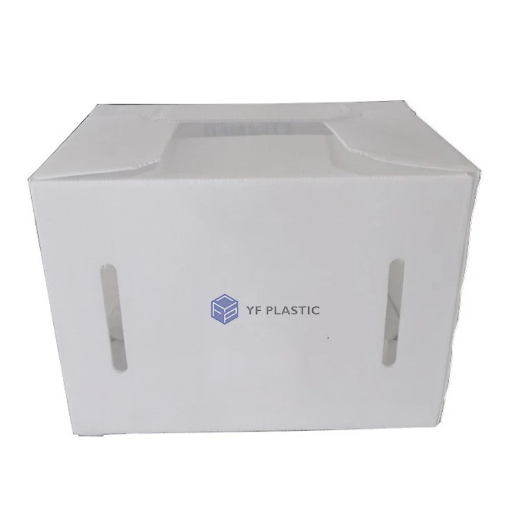 Eco-Friendly Foldable Corrugated Plastic Seafood Crab Packaging Box