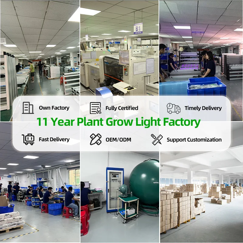 LEDILAND 800w New Full Spectrum LED Grow Light Indoor Plants SAMSUNG Evo lm301h 301b281B 650w IP65 Bloom Free Shipping USA Stock