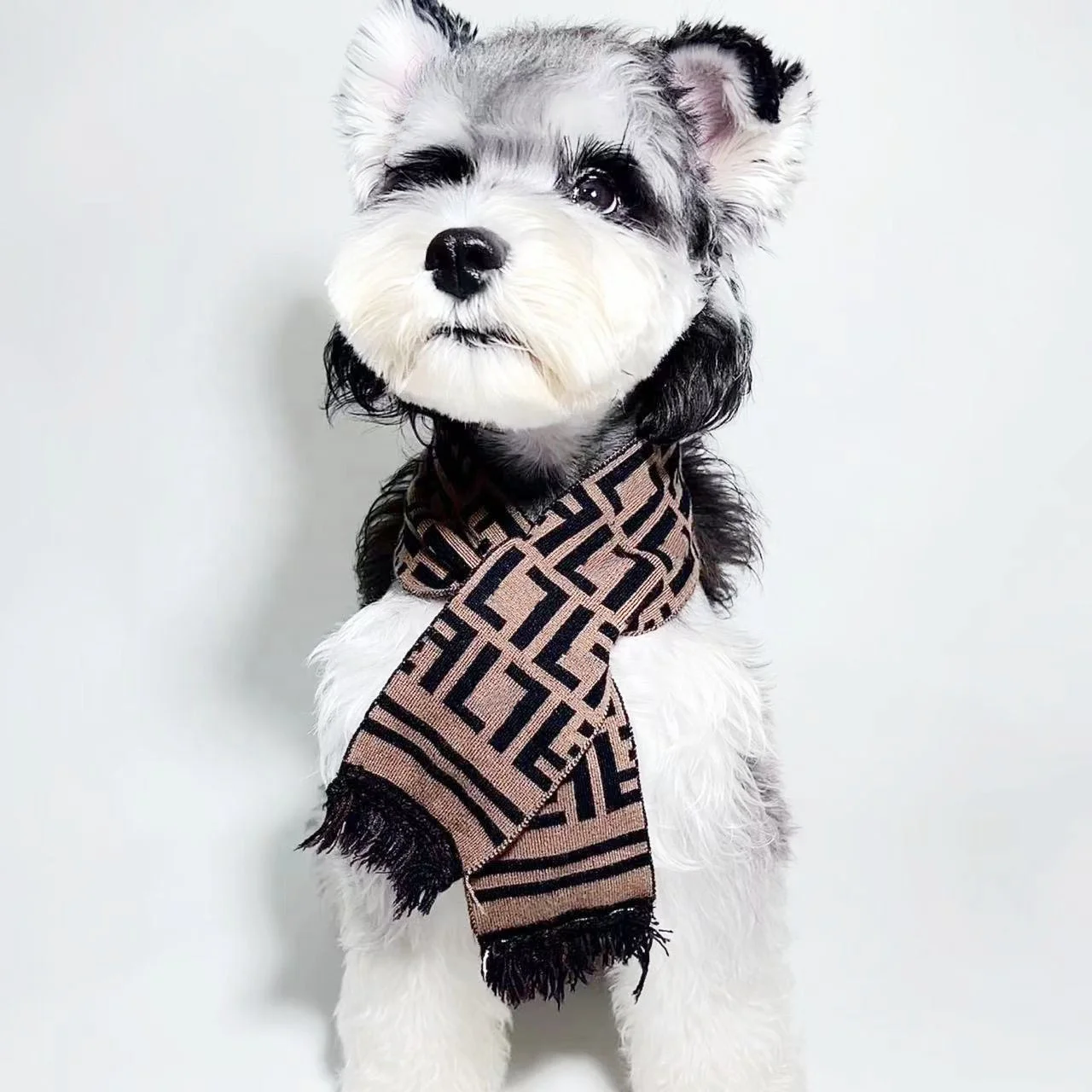 New Design High Quality Luxury Brand LOGO Classic Print Pet Scarf Warm