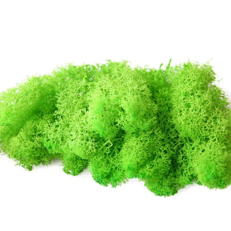 Yunnan Wholesale High Quality Grade A Reindeer Sea Moss Preserved Moss for Moss Wall Flower Arrangement Decoration