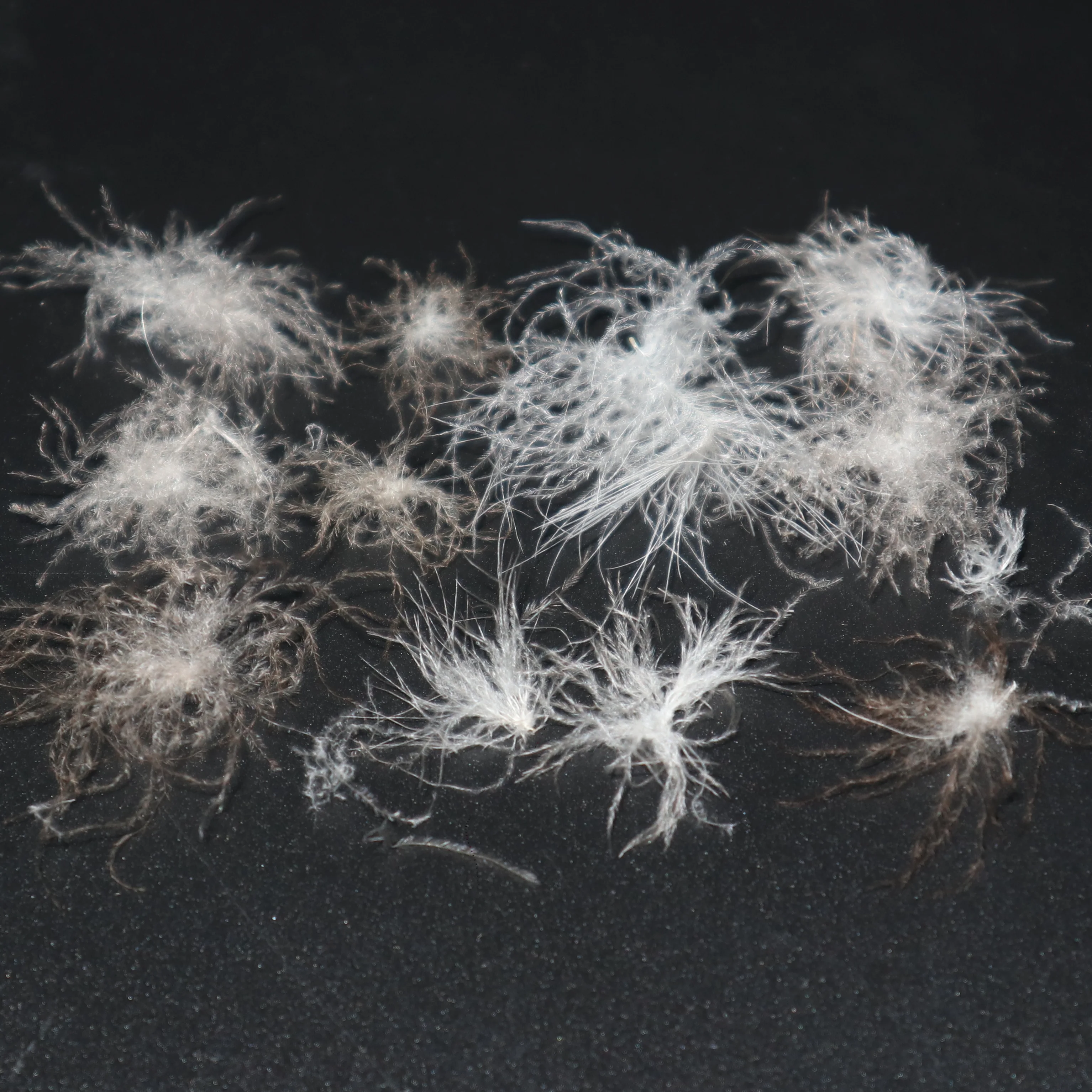 
Wholesale 93% Washed Grey Lining Goose Down Material 