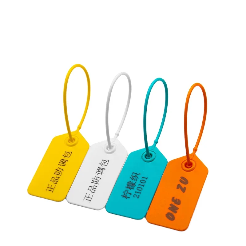 Custom Logo Security Seal Costume Brand Clothing Bags Hat Anti Theft Hang Tag Plastic Padlock