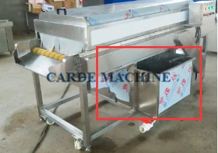 Continuously parallel brush roller fruit root vegetable cleaner washing machine for potato radish carrot lotus