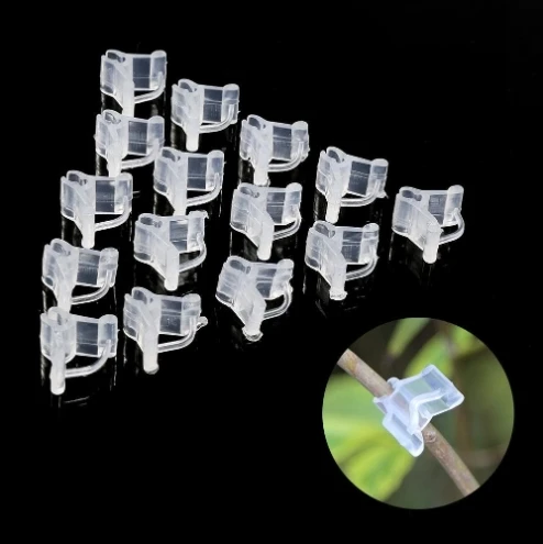 Transparent Plastic Plant Vegetable Fruit Eggplant Watermelon Tomato Gardening Grafting Clips Seedling Grafting Clip