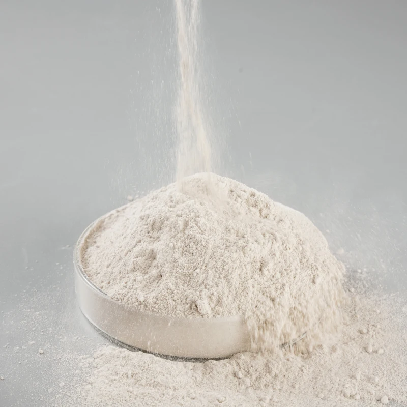 Factory Custom gypsum plaster retarder powder gypsum retarder powder retarder gypsum