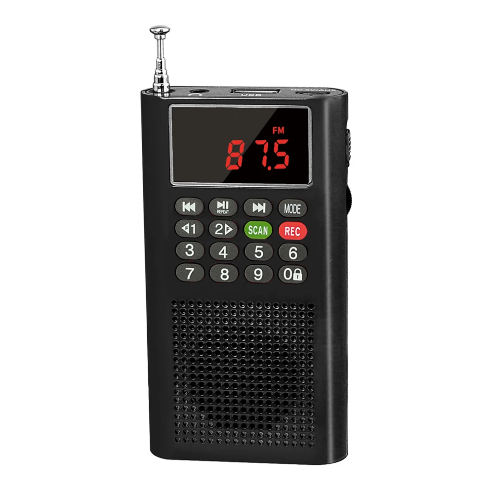 Dewant L-358 мини fm радио Поддержка 4GB/8GB/16GB/32GB USB флэш-накопитель чтения mp3 плеер со спикером