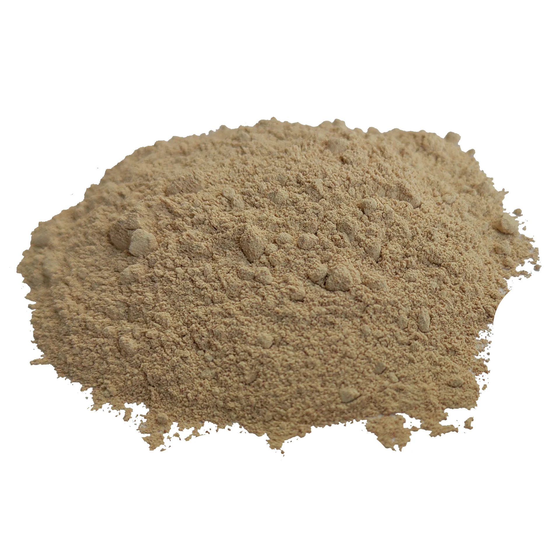 Stomach Protein Digestive Enzymes 98% beer yeast powder