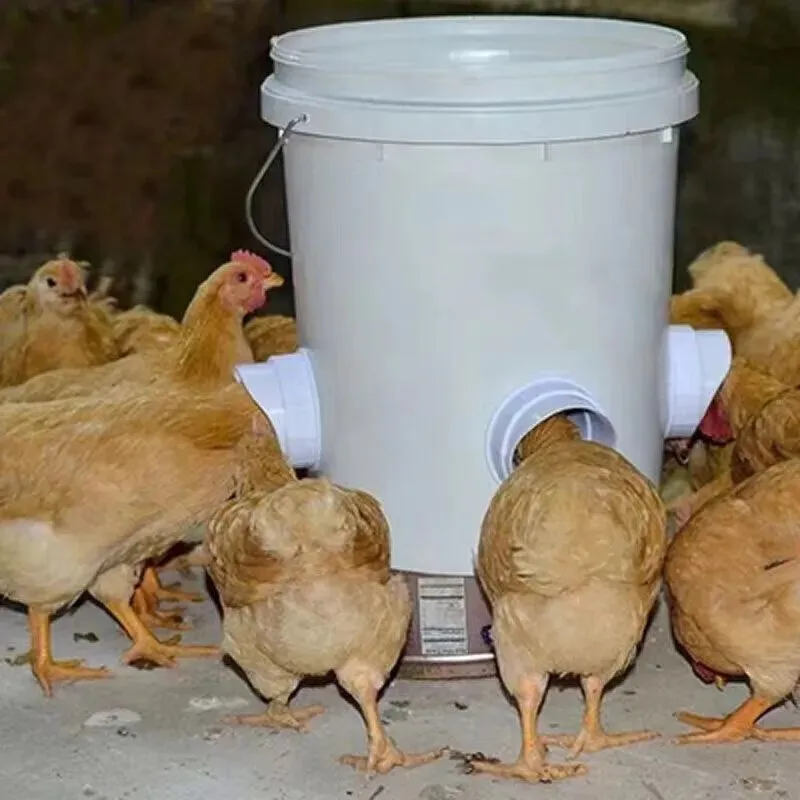 New Poultry Automatic Feeder Barrel Design for Chicken & Duck Raising Essential Equipment for Farms & Retail Chicken Raising