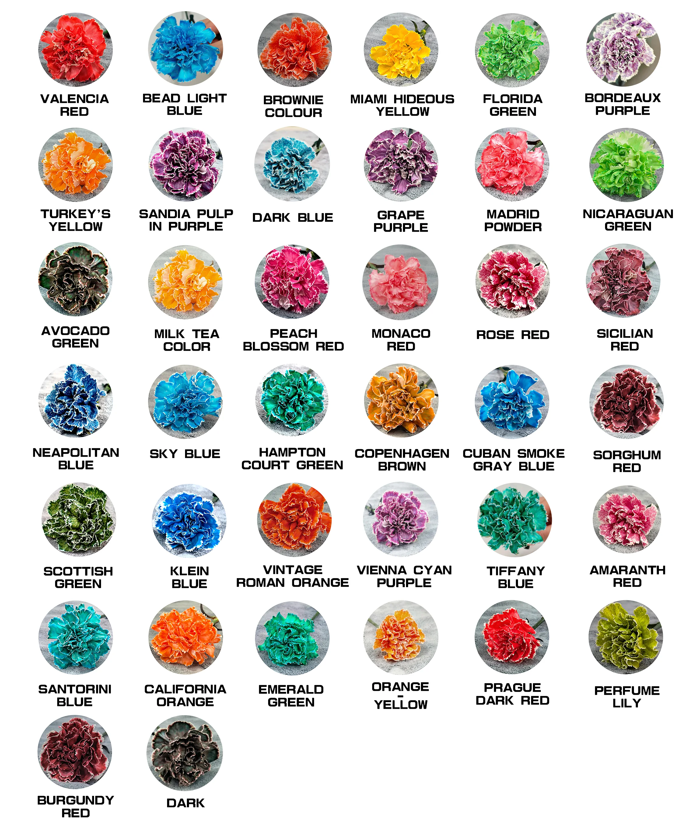 Manufacturer supply Dye the flowers a variety of colors Safe and odorless Flower colorant