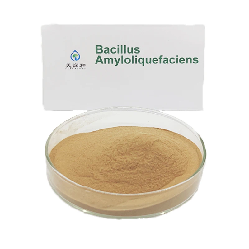 Mycorrhizal Fungi Fertilizer Amyloliquefaciens