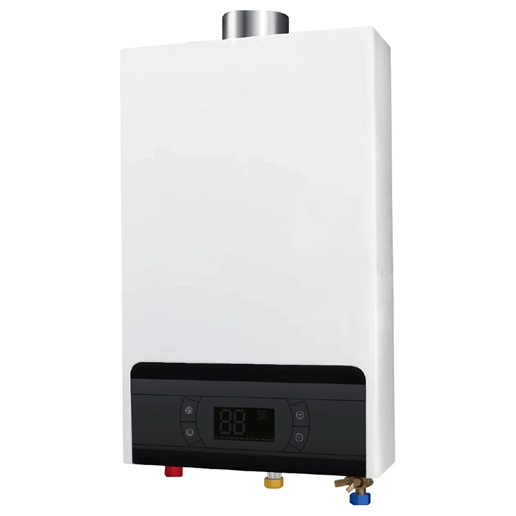 12L China wholesale delicate appearance instant gas water heater boiler for home