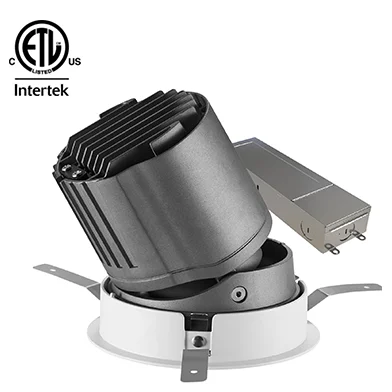 Modern Decorative Aluminium Housing Clear Lighting Hotel Ceiling Recessed Adjustable COB Round LED Downlight