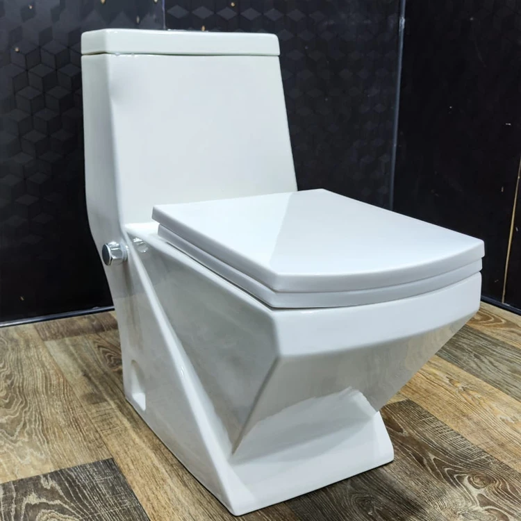 Туалет с функцией туалетного биде