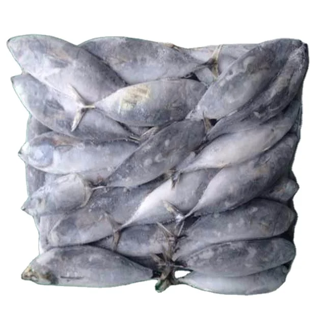 best service seafood fish 300-500g pacific fresh ship frozen mackerel raw material block in stock