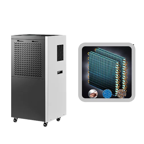 Hot Sale Warehouse Moisture Absorption Dehumidification Explosion Proof Industrial Dehumidifier for Basement