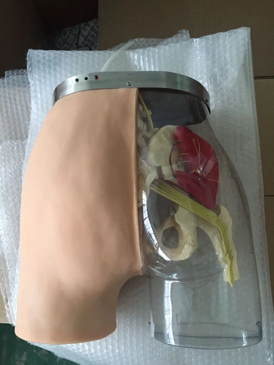 BIX-H5T Medical Teaching Buttocks Intramuscular Injection training and Compared Simulator For teaching and learning anatomy