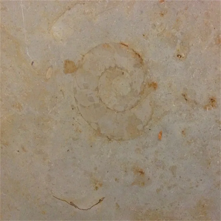 Фабричная плитка из ископаемого камня цвета бежевый Юра