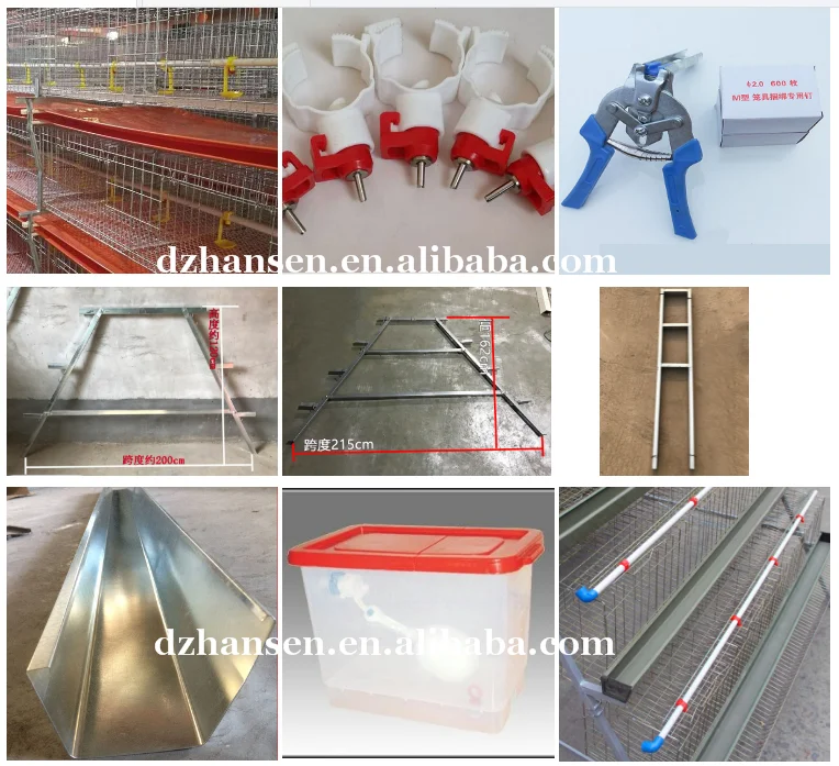 high quality cages chicken battery chicken cage for layer chicken poultry farm in Nigeria
