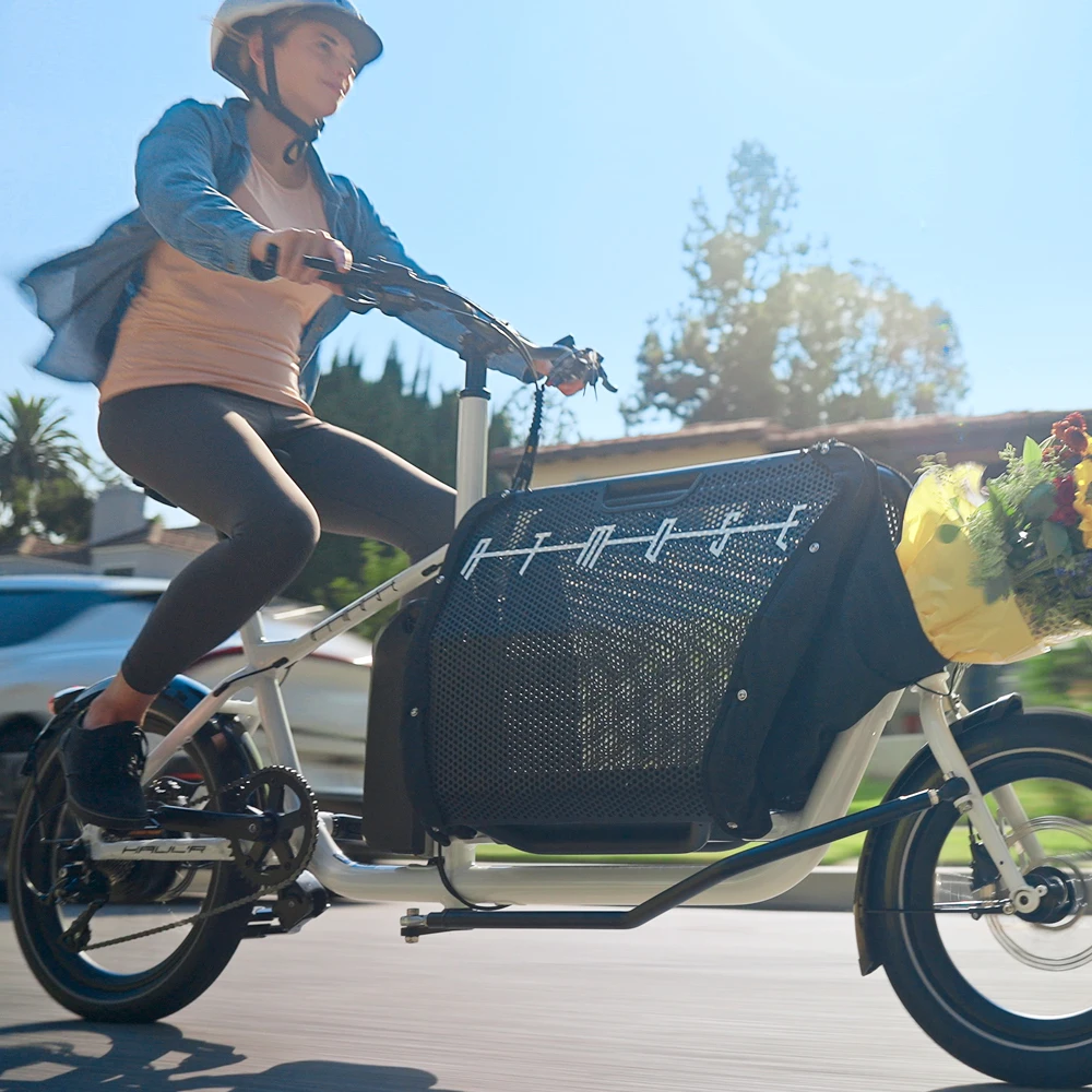 for adult cargo bicycle electric ebike 2024 electric cargo bicycle wholesale delivery cargo bicycle