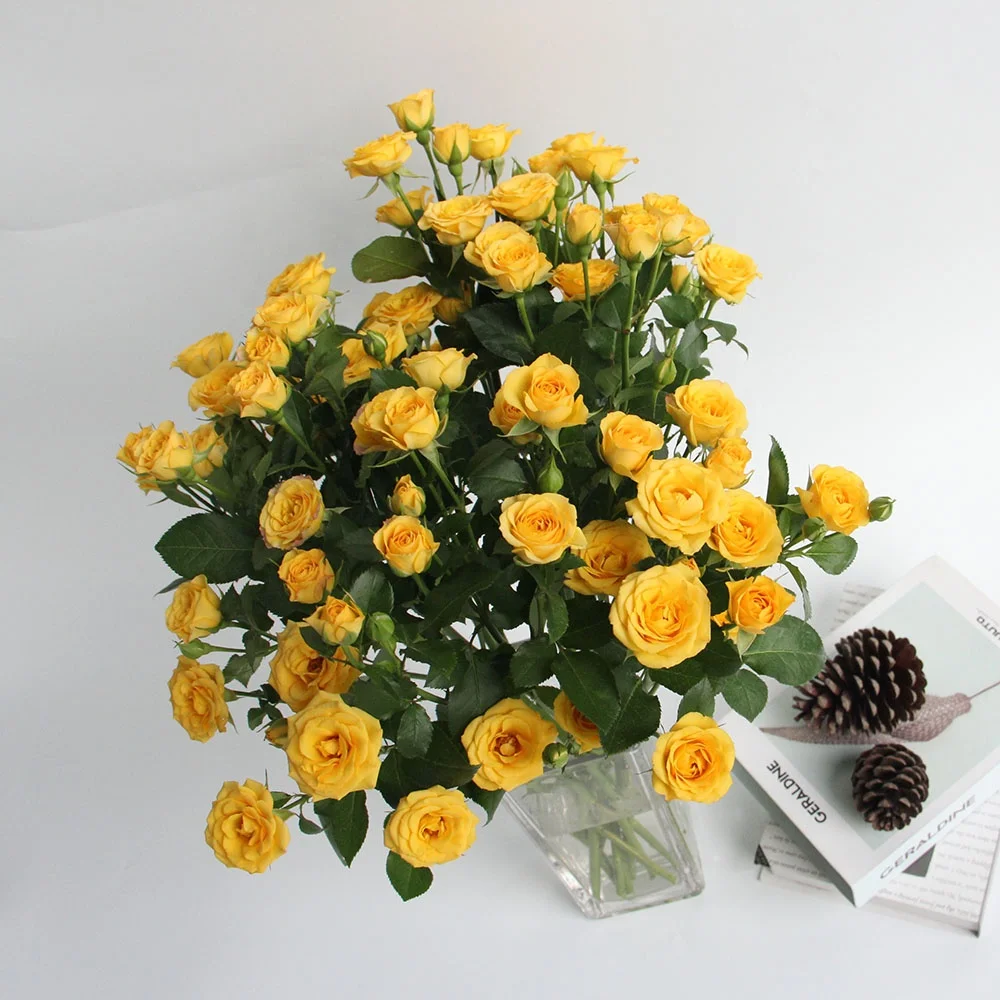Spray Rose Flower Red Rose Carnation Wholesale Many Colors Packed Wedding Supplies Yellow Bobby Gifts Goods Favor