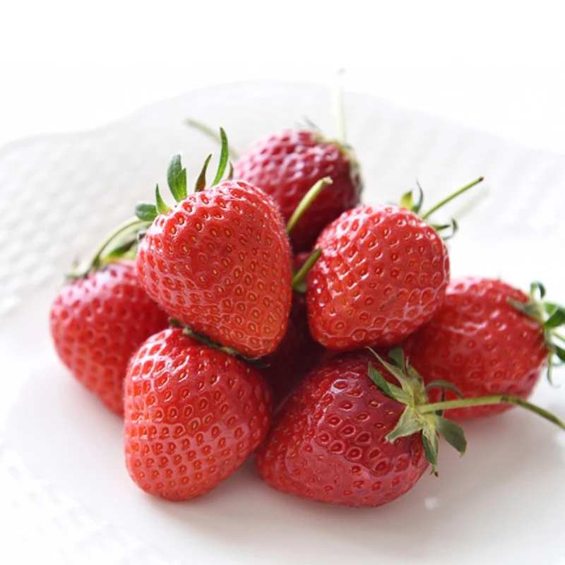 Greenhouse fruity taste tochiotome variety export fresh strawberry fruit price