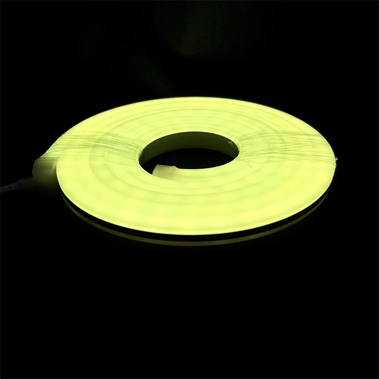 Customization Best Price High Quality Led Neon RGB IC 12V Rgb Led Neon Flex Strip Light For Ceiling