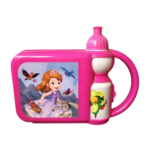 Lunch Box,Rectangle Popular Plastic Lunch Box Bento with Water Bottle For Kids, High Quality Lunch Boxes
