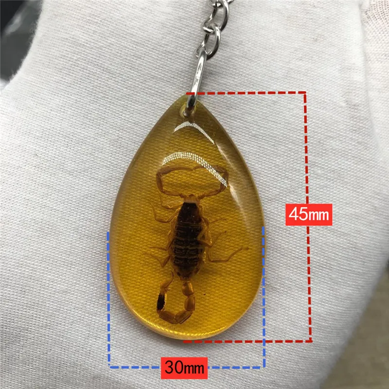 New real insect specimen hornet amber car bag pendant small gift crystal keychain