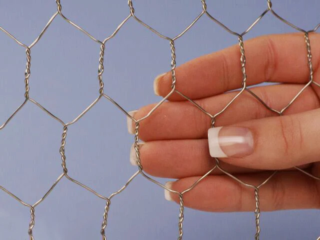Good Price Galvanized Hexagonal wire mesh for chicken wire lowes / wire mesh Diamond Hexagonal Mesh Chicken Cage