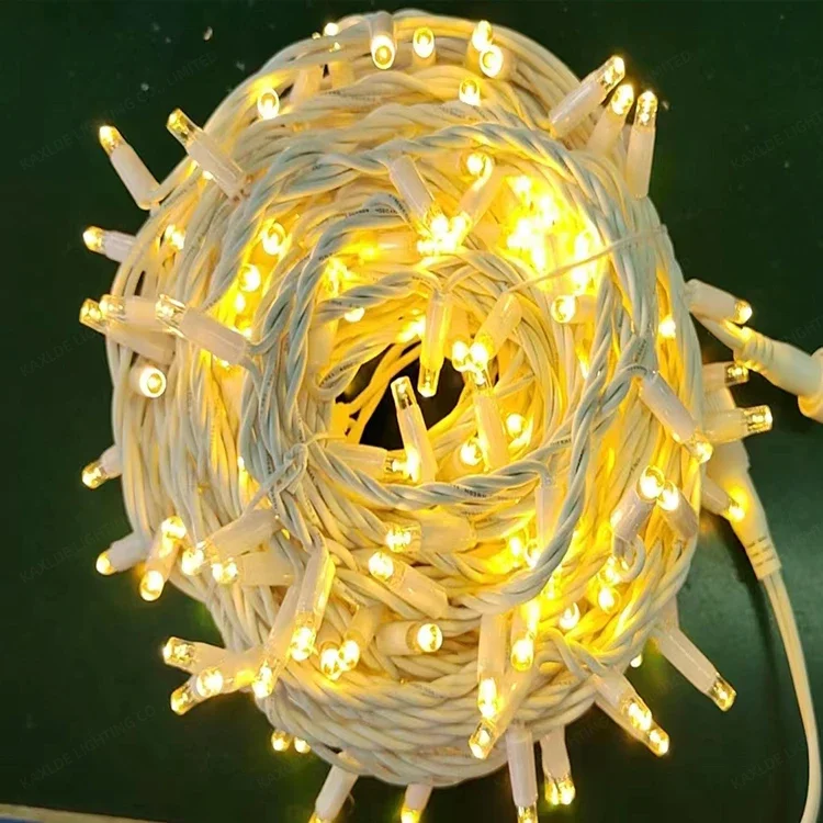 220V IP65 Waterproof 10m  Extensible Outdoor Christmas Lights With Male and Female Connectors