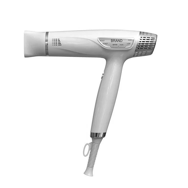 New products 1800W BLDC Blow Dryer Negative Ion brushless motor High Speed professional Hair Dryer for home use