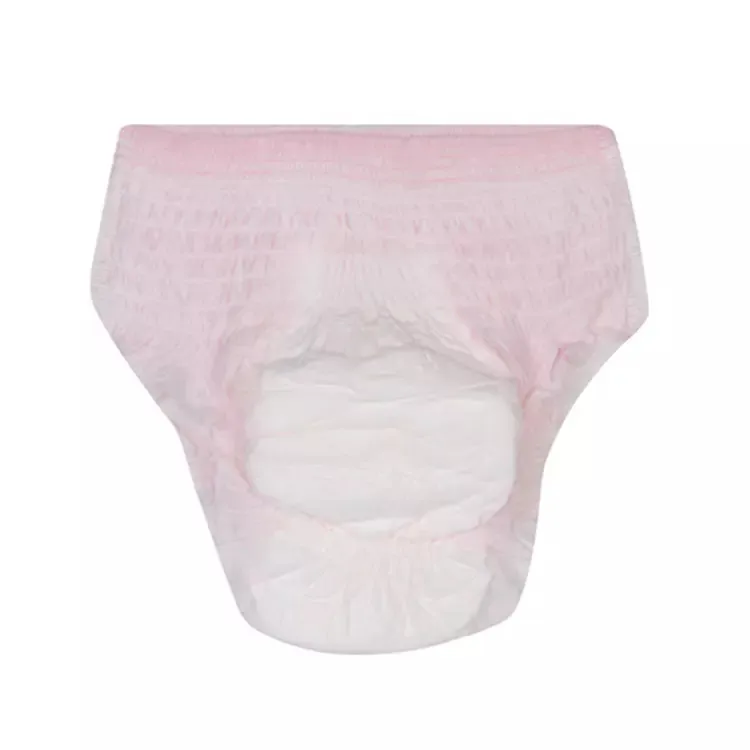 Best seller in Canada Feminine Care Products Maternity Pads After Delivery Periods Underwear Disposable Female Diapers
