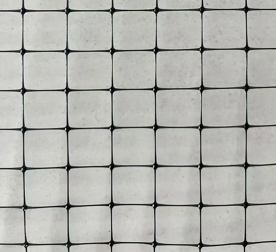 Anti Mole Net Plastic Fence Bird for Blueberries orchard and Garden