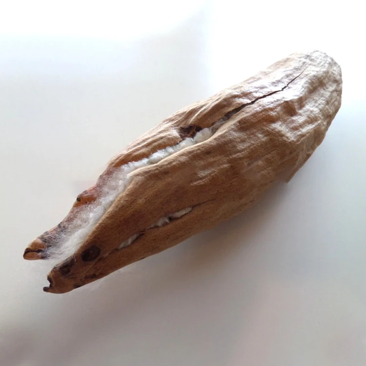 
Wholesale Raw materials 100% natural kapok fiber , organic kapok fibre for household 