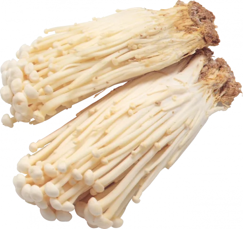 Export high quality clean 30% white flammulina velutipes golden enoki extract needle mushroom powder