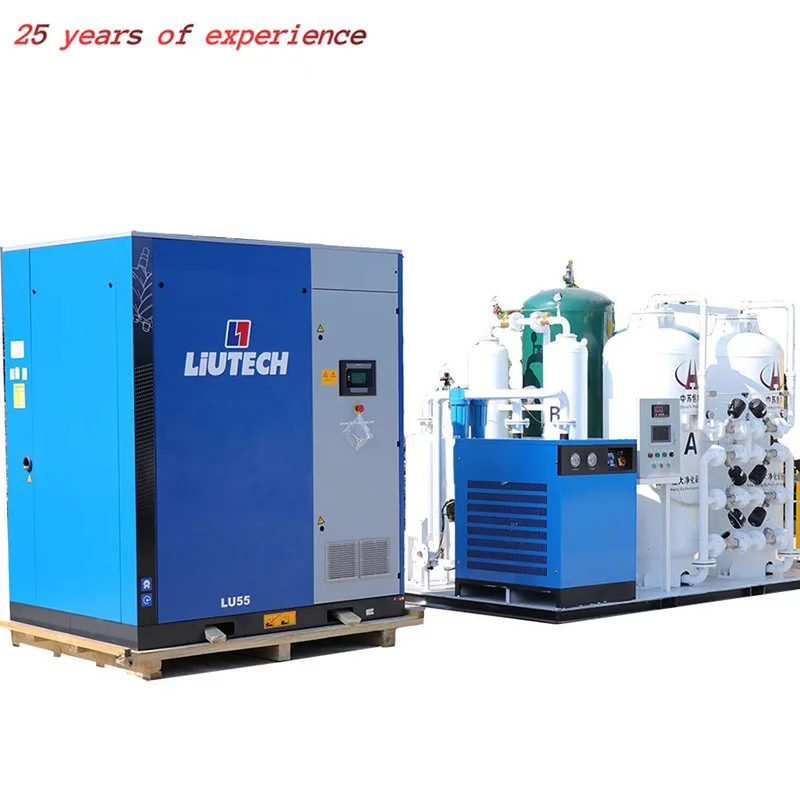 30nm3/H Capacity 24h Working Oxygen Plant Psa Fish Farming Industrial Hospital Oxigen Generator