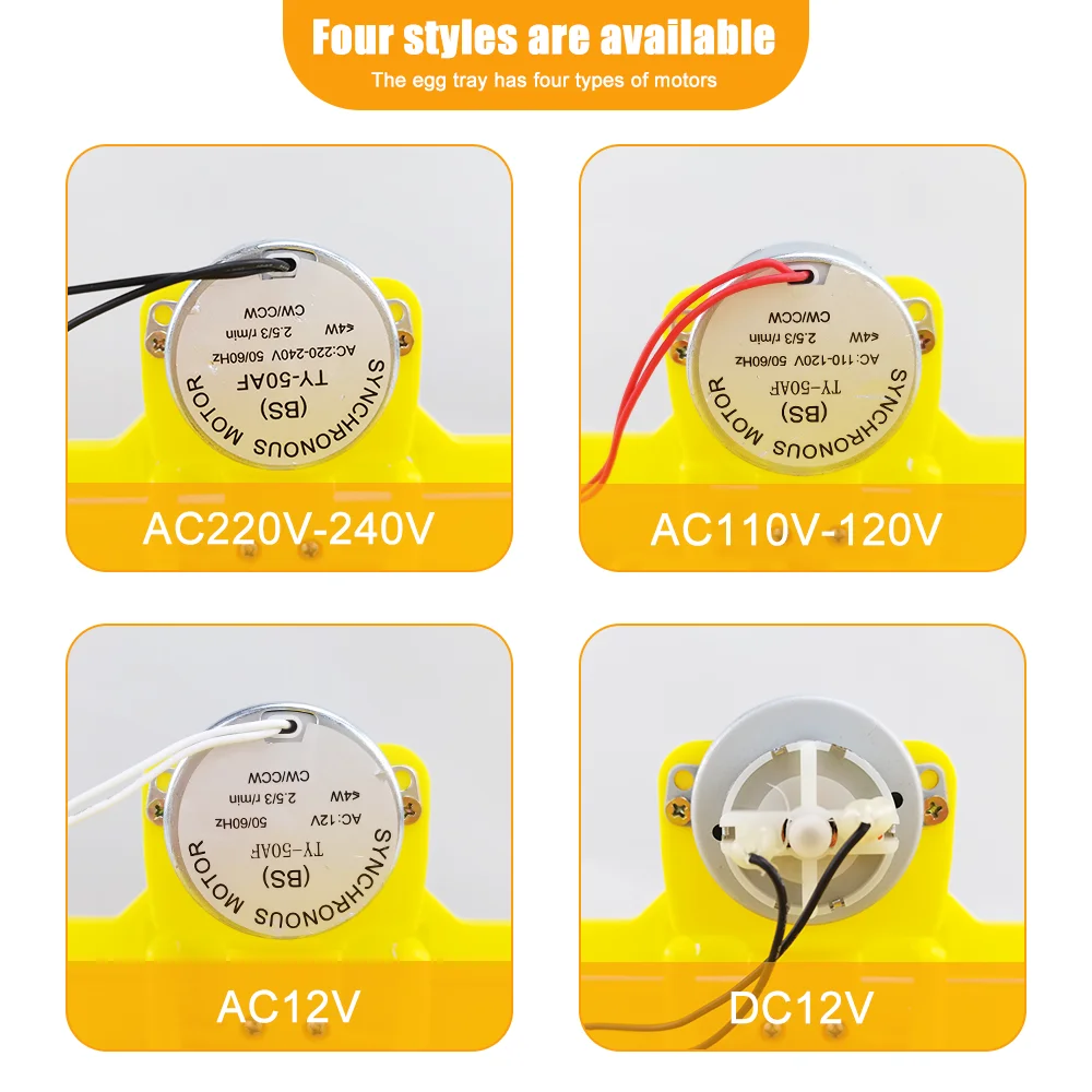 China hot selling quail egg tray and bird egg tray for 154 eggs