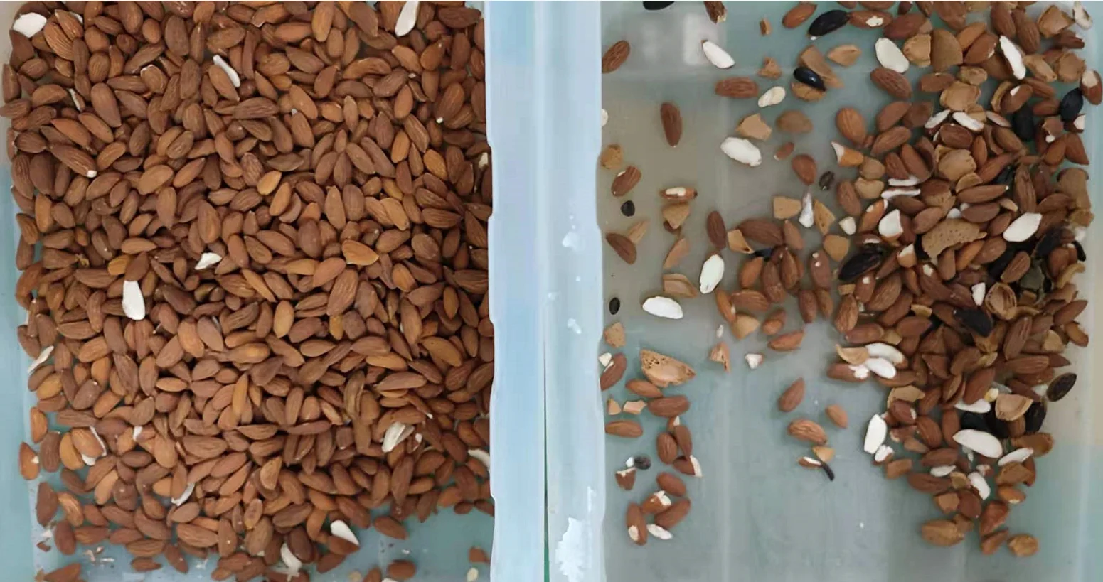Cost-effective Mini Almond Color Sorter Color Sorting Machine For Almond Clean Separate Processing Machine