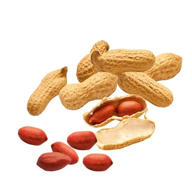 Китайский арахисовый арахис в скорлупе сырые и