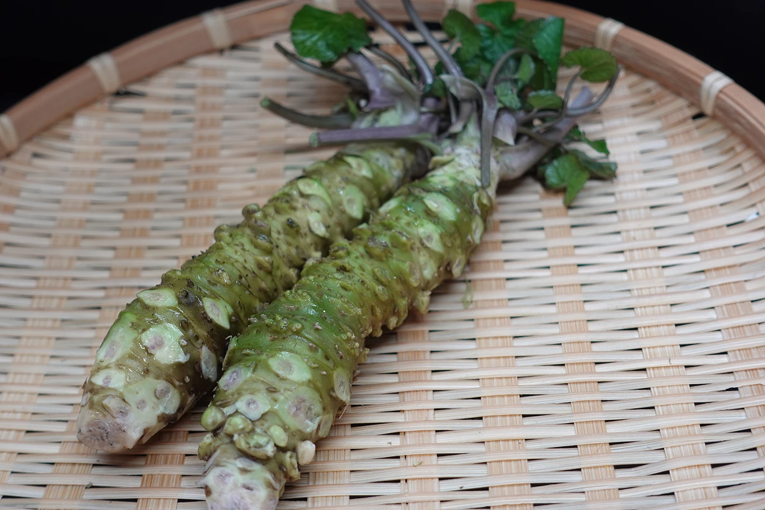 Wholesale High Quality Fresh Wasabi 100g Japanese Miso Sauce