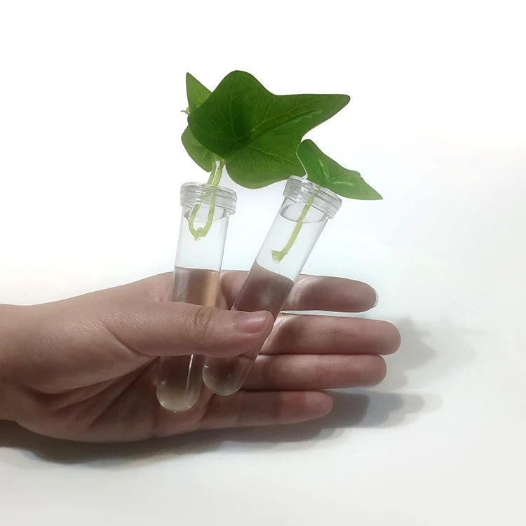 Flower Floristry Plant Cultivation Tool Material Crystal Flower Tube