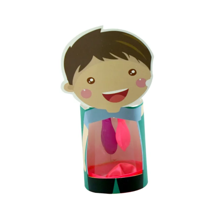 Creative Wholesale Teaching Aid Materials Diy Lung Breathing Model Set Educational Toys Kids Toys