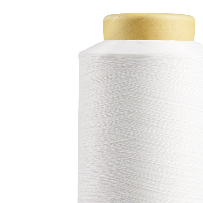 Suzhou Nanhua Factory Wholesale High Quality High Toughness Nylon Wrap Yarn