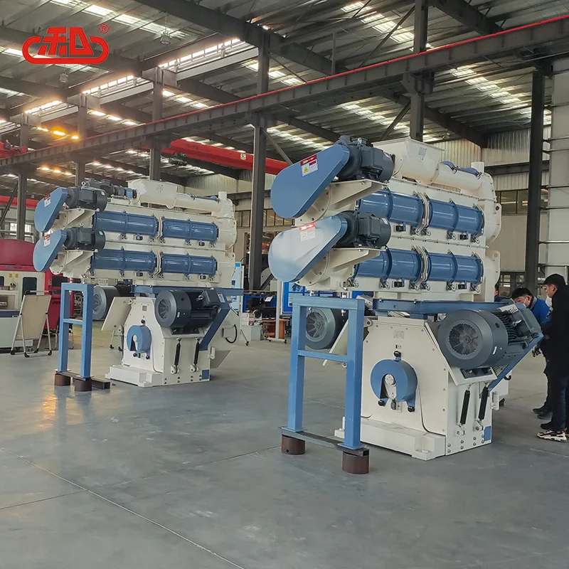 Large capacity belt type ring die pellet mill 420D 520D pellet feed making machine price