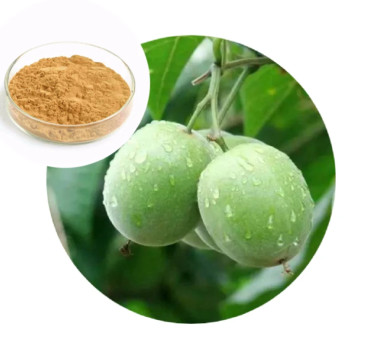 factory spot luo han guo Extract Monk Fruit powder 98% provide free samples