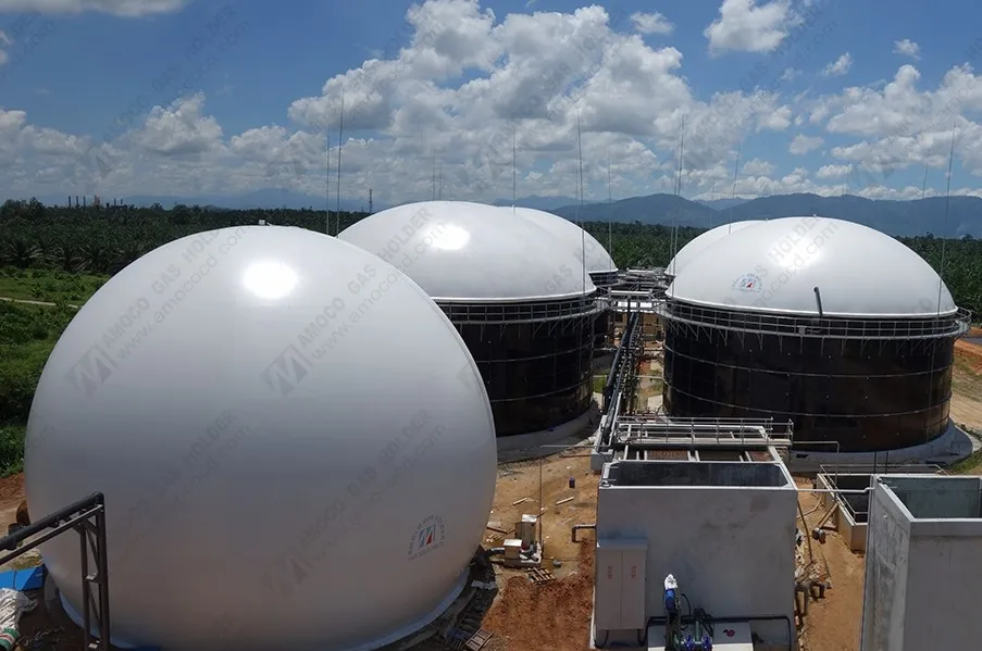 
Automatic Controlled Membrane Biogas Storage Tank/Biogas Balloon/Gas Holder for Biogas Digester in Malaysia 