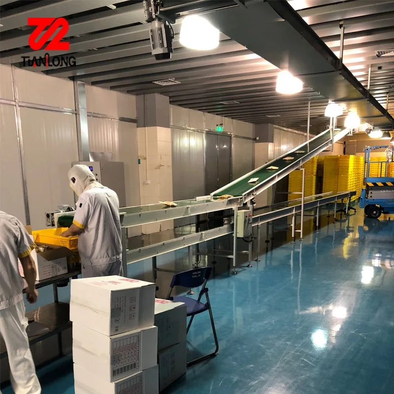 Grain Bag Incline Belt Conveyor