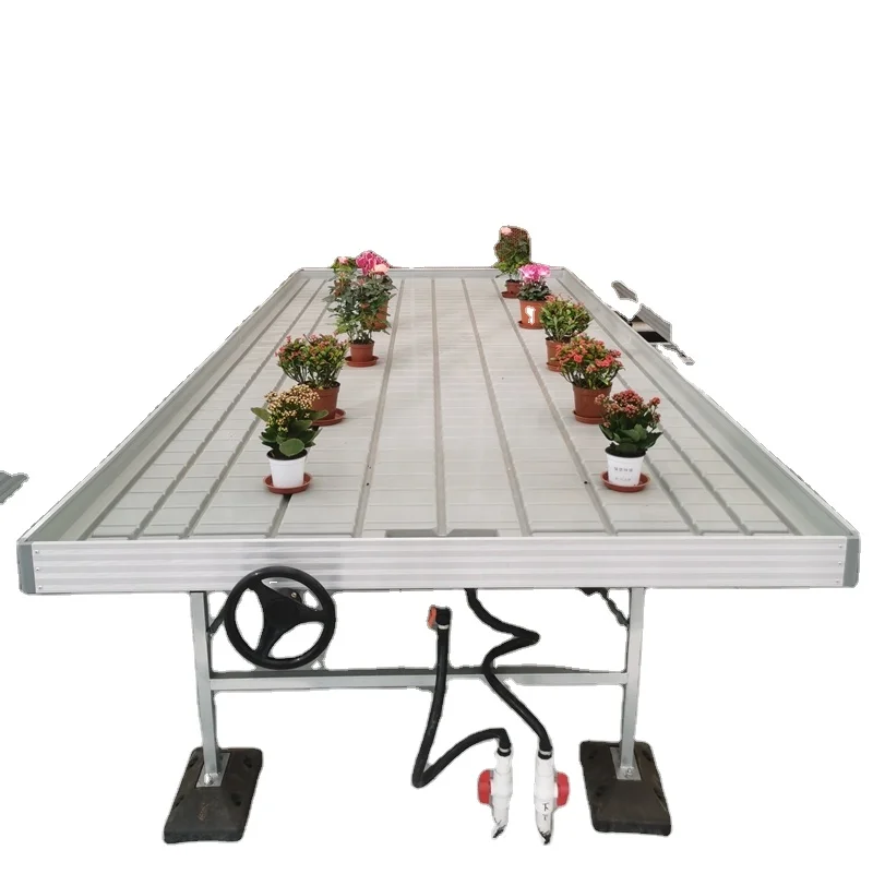 Hebei Chenchao Greenhouse Hydroponics System Rolling Bench Ebb and Flow Planting Table for Sale