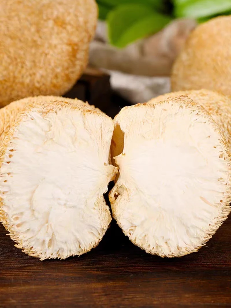 DETAN export dried organic lions mane